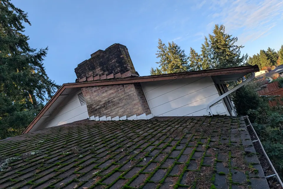 An end-of-life roof in Tacoma with heavy moss between the shingle tabs, before replacement